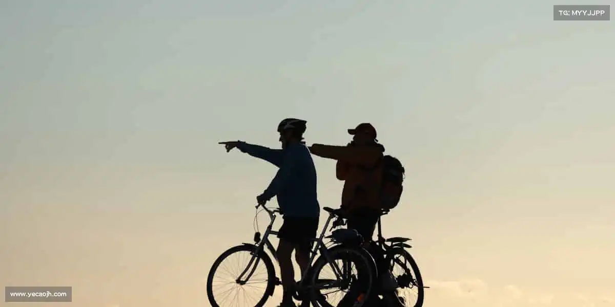 行业领先的理由